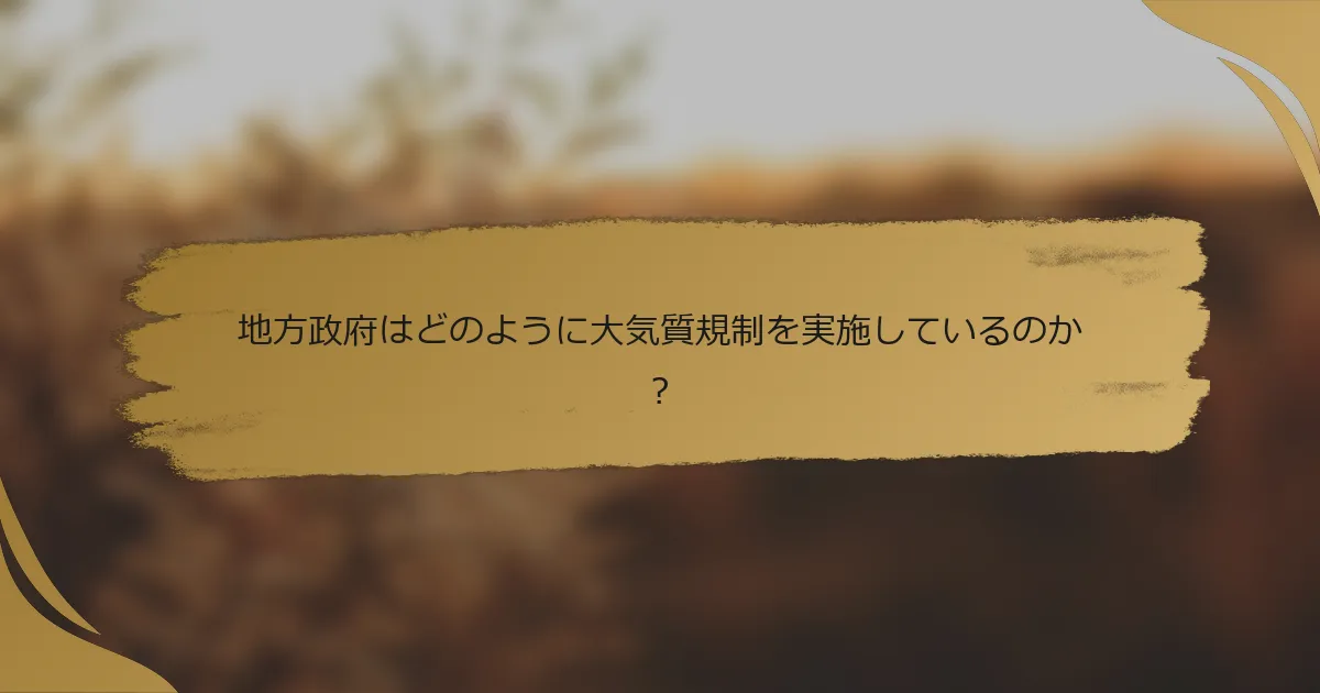 地方政府はどのように大気質規制を実施しているのか?