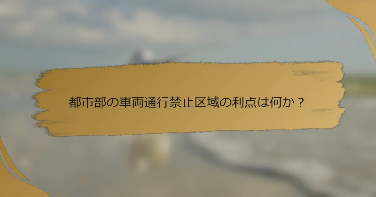 都市部の車両通行禁止区域の利点は何か?