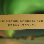 トルコにおける地域社会の利益をもたらす再生可能エネルギープロジェクト