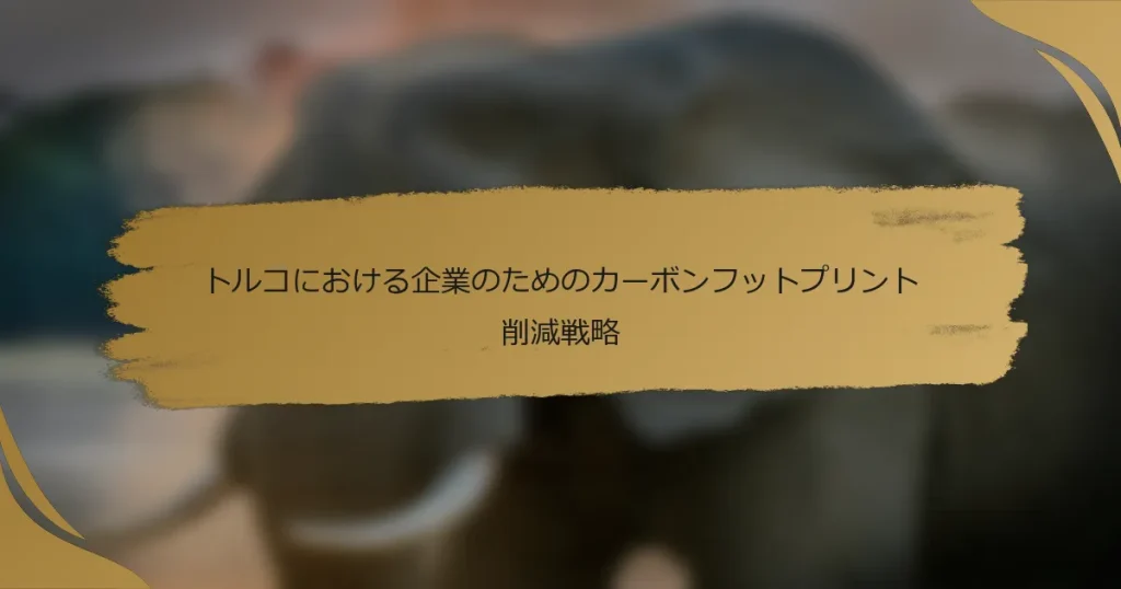 トルコにおける企業のためのカーボンフットプリント削減戦略