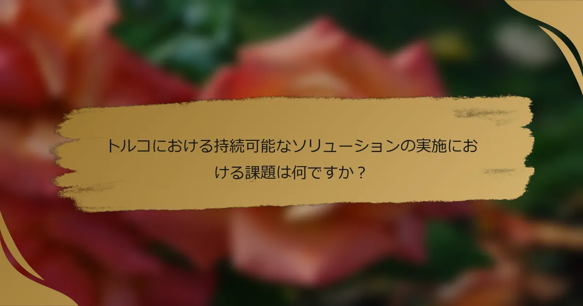 トルコにおける持続可能なソリューションの実施における課題は何ですか?