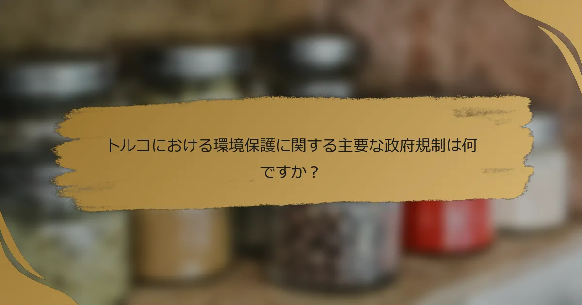 トルコにおける環境保護に関する主要な政府規制は何ですか？