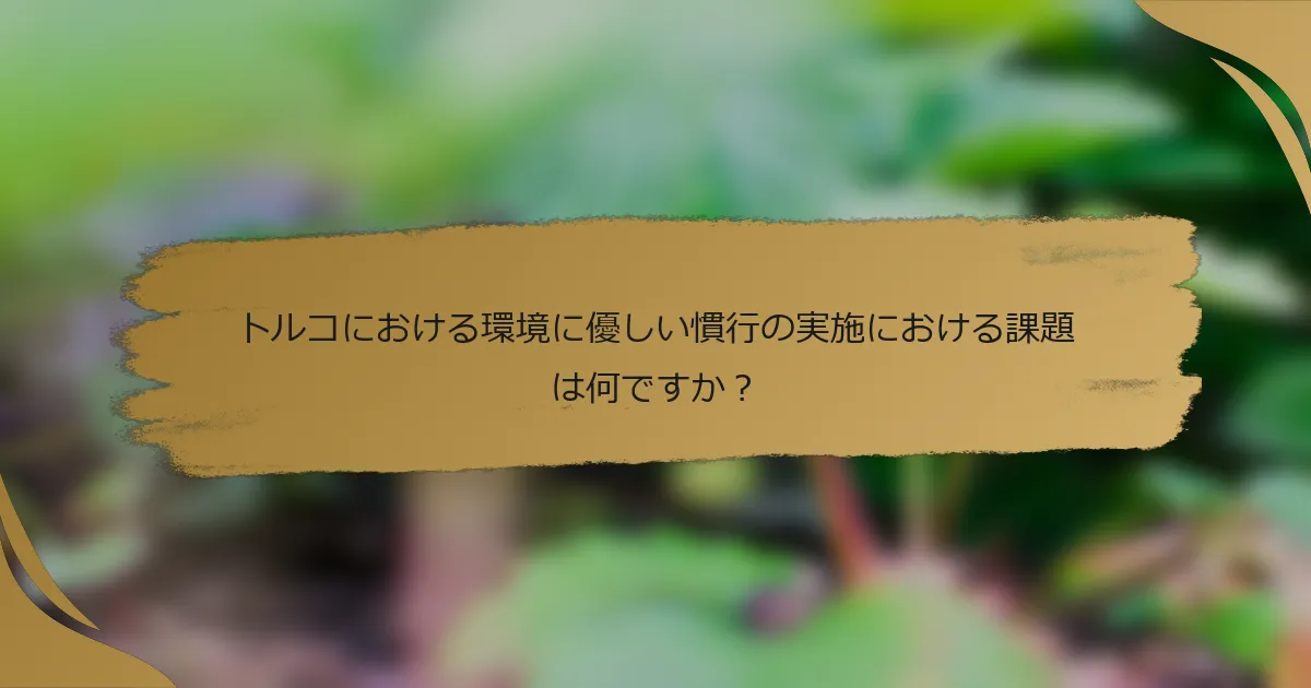 トルコにおける環境に優しい慣行の実施における課題は何ですか?