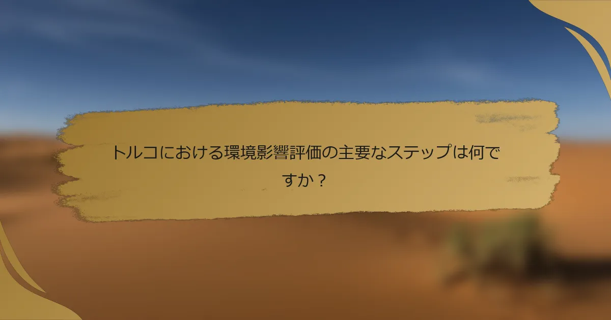 トルコにおける環境影響評価の主要なステップは何ですか?