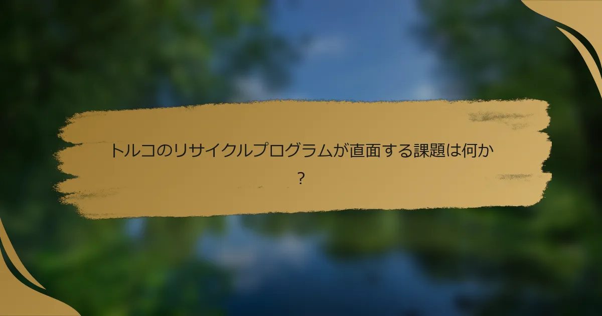 トルコのリサイクルプログラムが直面する課題は何か?