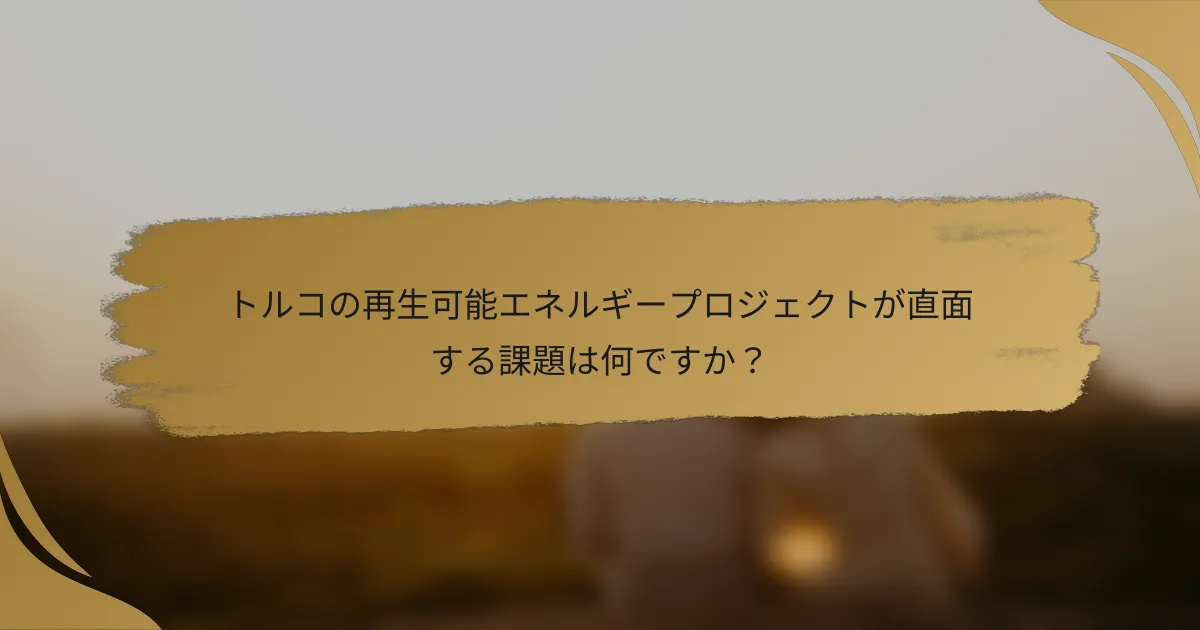 トルコの再生可能エネルギープロジェクトが直面する課題は何ですか?