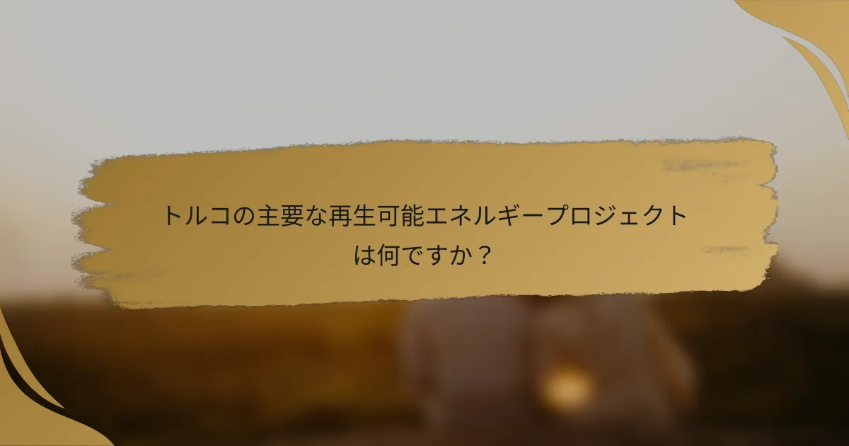 トルコの主要な再生可能エネルギープロジェクトは何ですか?