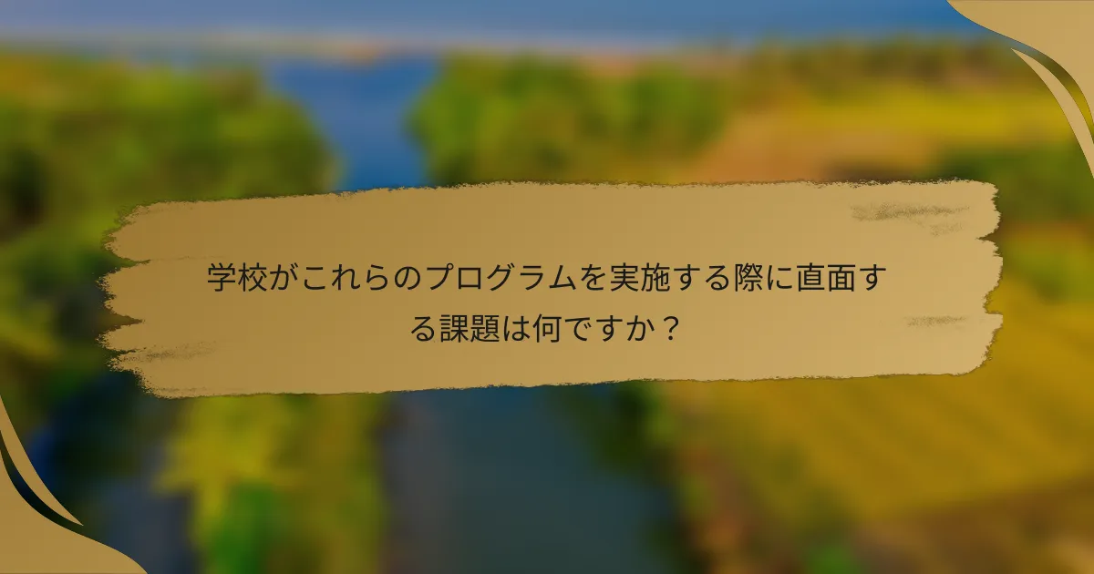 学校がこれらのプログラムを実施する際に直面する課題は何ですか?