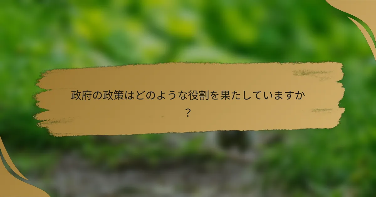 政府の政策はどのような役割を果たしていますか?