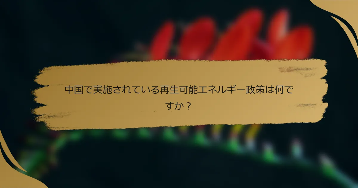 中国で実施されている再生可能エネルギー政策は何ですか?