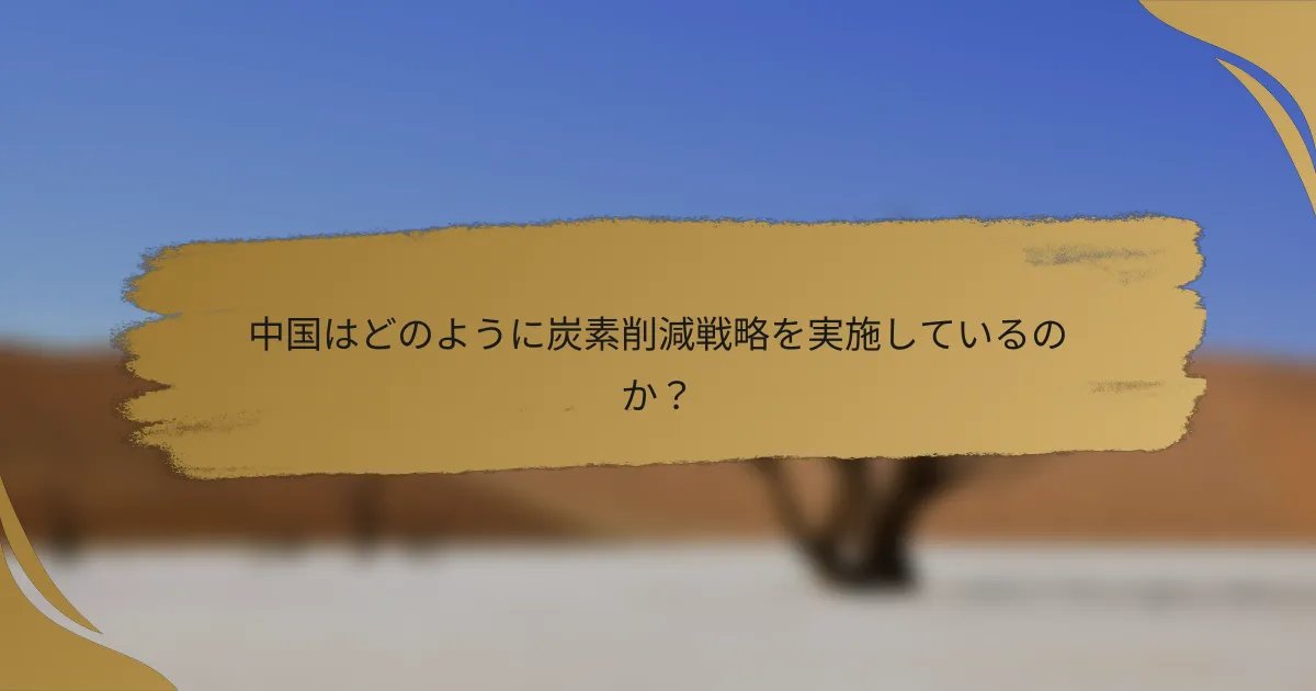 中国はどのように炭素削減戦略を実施しているのか?