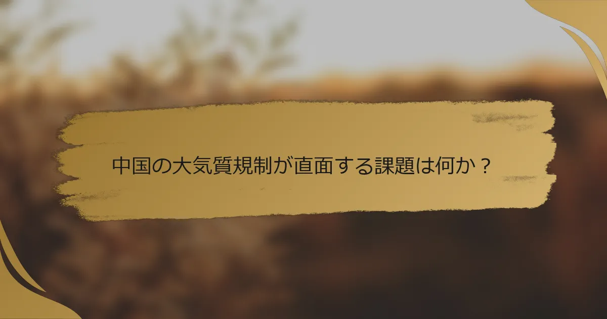 中国の大気質規制が直面する課題は何か?