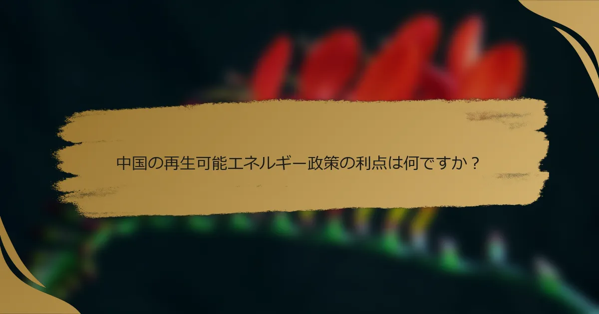 中国の再生可能エネルギー政策の利点は何ですか?