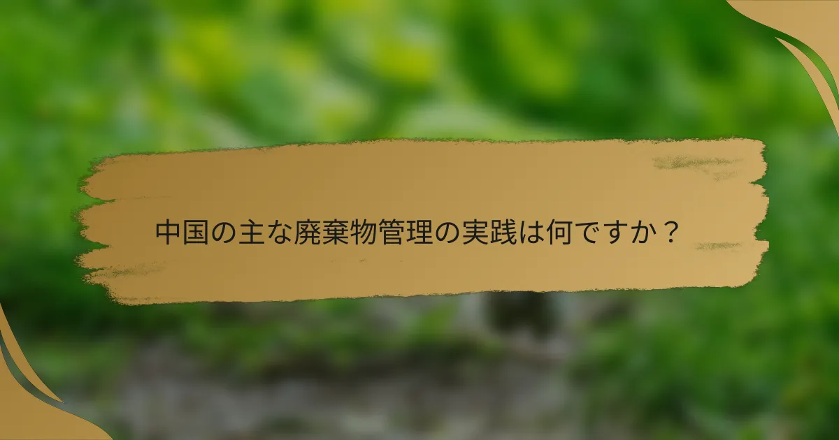 中国の主な廃棄物管理の実践は何ですか?